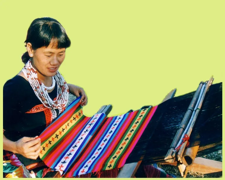 Idu Mishmi woman weaving Etonwe coat on backstrap loom — RIWATCH