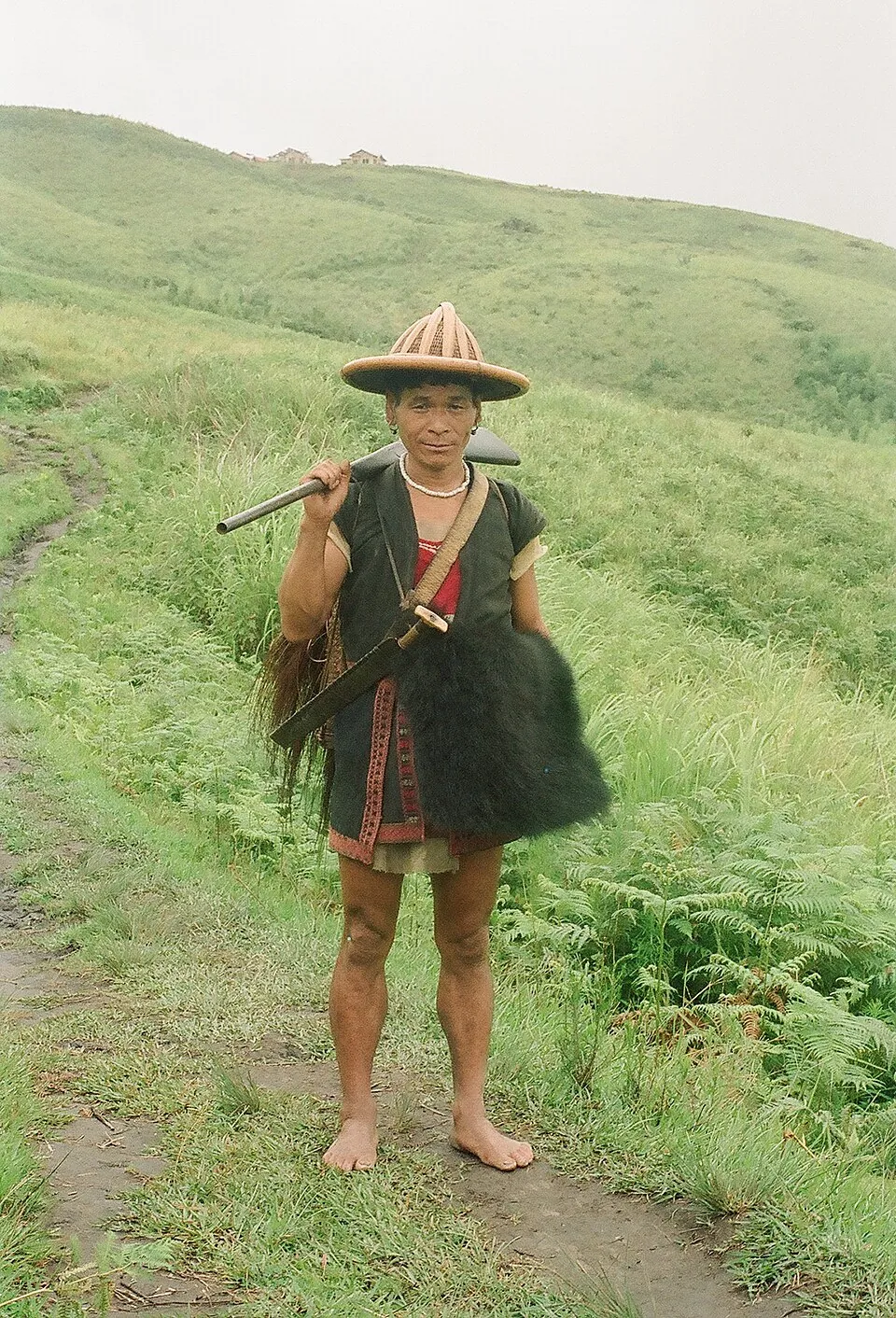 Idu Mishmi man on track from Anini
